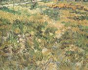Vincent Van Gogh Meadow in the Garden of Saint-Paul Hospital (nn04) Spain oil painting artist
